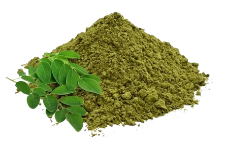 Moringa Powder